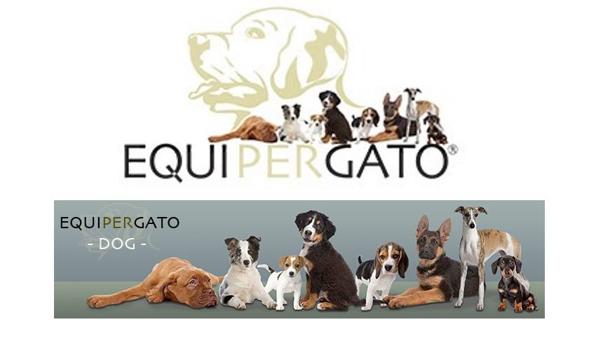 Equipergato® Logo für Dogs