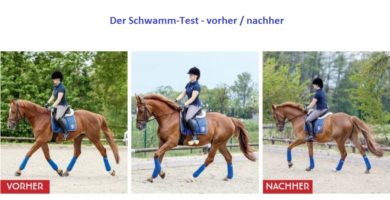 Reiten mit Schwamm durch Testreiterin