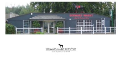 Schwarz-Markt-Reitsport mit lebensgroßem Pferd auf dem Dach