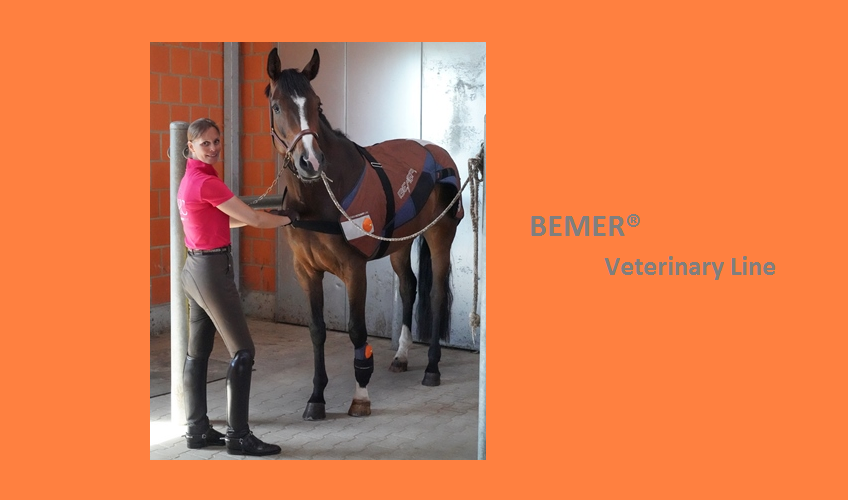 Bemer® Veterinary Line