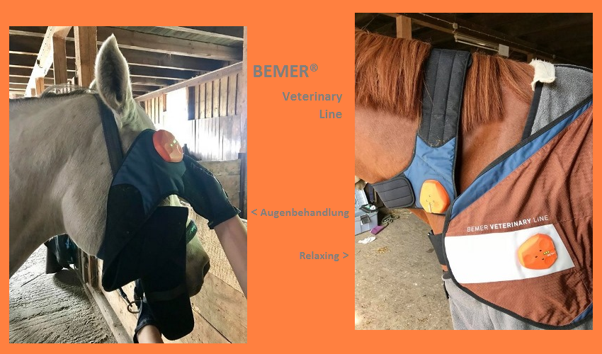 Bemer® Veterinary Line im Einsatz