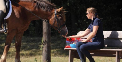 Reitsport SPC füttert Salvana Leckerli