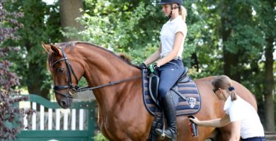 Cxevalo Mückenschutz am Bauch