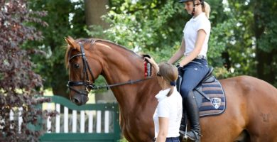 Cxevalo Mückenschutz am Hals