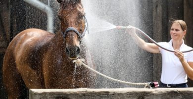 Cxevalo ® Cooling Shampoo Test mit Janine