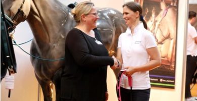 Equizügel - Messegespräch auf der HansePferd 2018