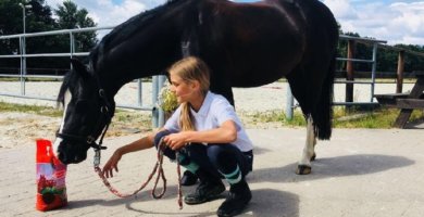 Lotti und ihre Fame testen Salvana Leckerli.