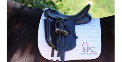 Reitsport SPC - Osteraktion 2019 - sucht Markenbotschafter