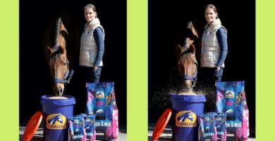 Cavalor Mash & Mix für Pferde
