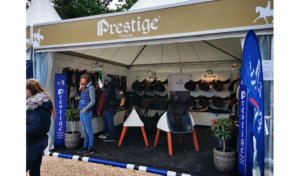 Deutsches Spring- u. Dressur Derby 2019 - ein internationales Reitturnier in Hamburg