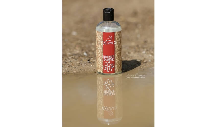 Cxevalo ® Haflinger Shampoo lässt das Fell glänzen.