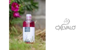 CXEVALO ® Shampoo Mix für SPC