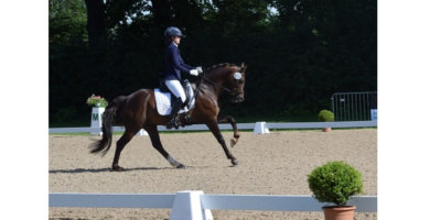 Reitsport SPC Markenboschafter sind Ambassadore