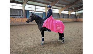 Reitsport SPC Markenboschafter sind Ambassadore