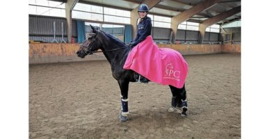 Reitsport SPC Markenboschafter sind Ambassadore