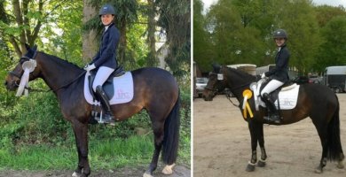 Reitsport SPC Markenboschafter sind Ambassadore