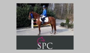 Reitsport SPC Markenboschafter sind Ambassadore