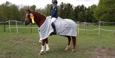 Reitsport SPC Markenboschafter sind Ambassadore