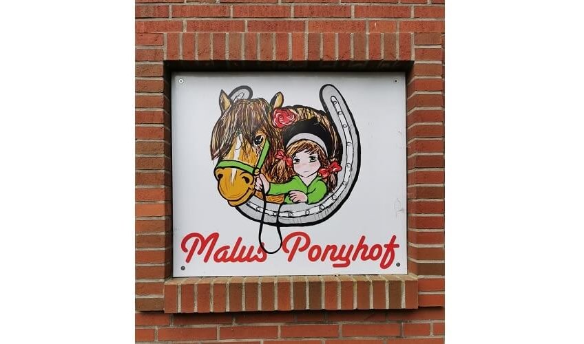 Malus Ponyhof in Todenbüttel