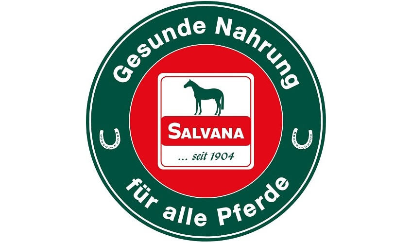 Salvana Mineralbrix Pferdeleckerli
