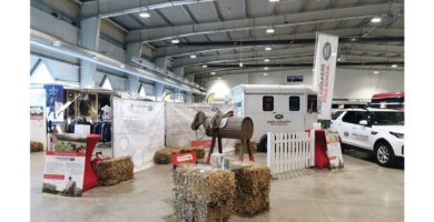 Trakehner Hengstmarkt 2019 in Neumünster