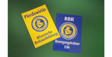 Dressurunterricht und Bewegungstraining EM