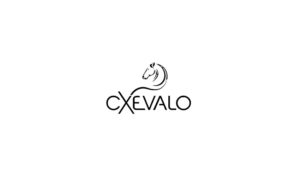 Cxevalo MSM Regenerationsgel für Pferde