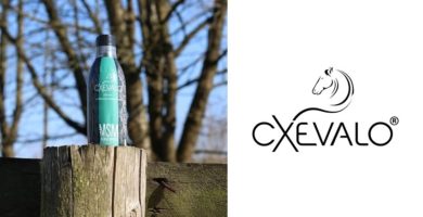 Cxevalo ® MSM Regenerationsgel fürs Pferd