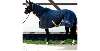 EQUINE MICROTEC ® ONE Abschwitzdecke