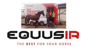 Equusir-Best-Box Verlosung