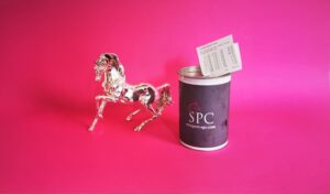 Reitsport SPC Spendendose für den Tierschutz