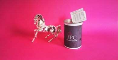 Reitsport SPC Spendendose für den Tierschutz
